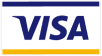 Visa Logo in Rectangle